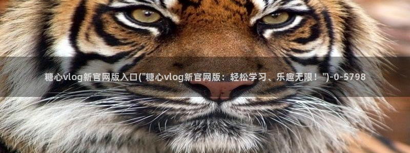 糖心vlog中国：糖心vlog新官网版入口(\