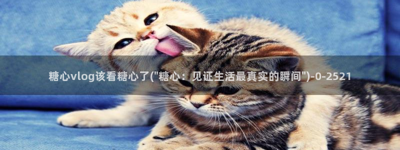 91糖心vlog：糖心vlog该看糖心了(\