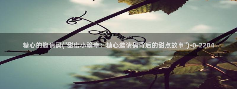 91糖心vlog下载：糖心的邀请码(\