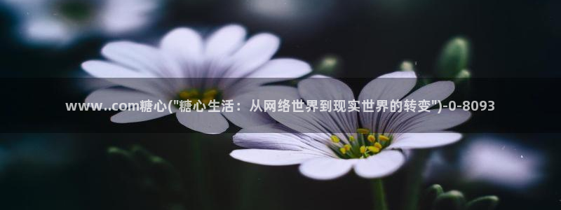 糖心vlog 多乙：www..com糖心(\