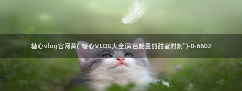 糖心恬恬vlog在线观看：糖心vlog官网黄(\
