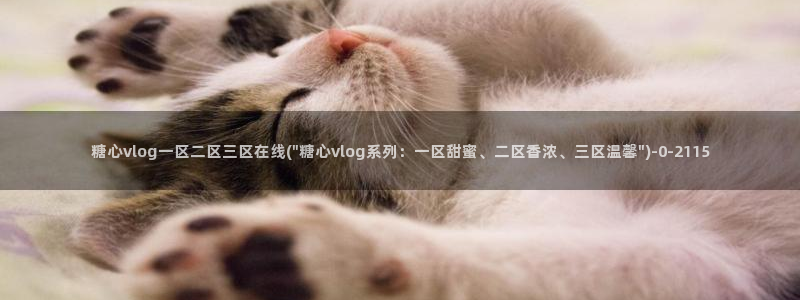 糖心vlog免费视频：糖心vlog一区二区三区在线(