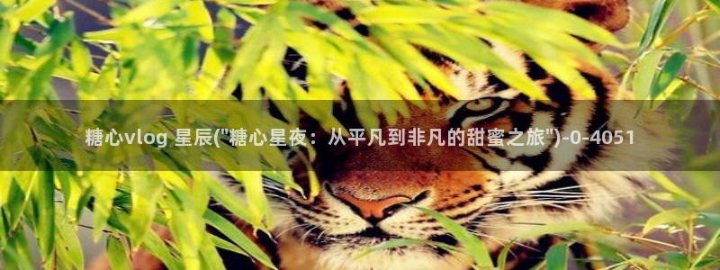 糖心v logo：糖心vlog 星辰(\