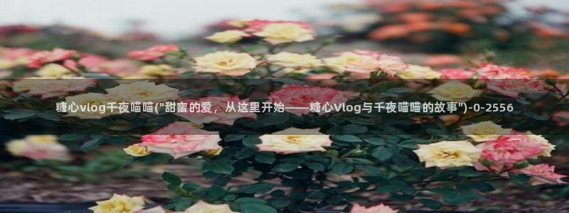 糖心vlog大全：糖心vlog千夜喵喵(\