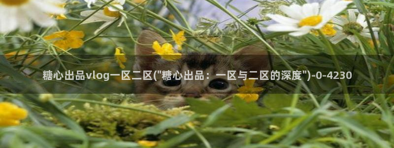 糖心vlog破解下载：糖心出品vlog一区二区(\