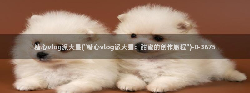 糖心vlog网址进入：糖心vlog派大星(\