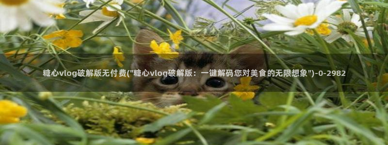 糖心vlog国际版：糖心vlog破解版无付费(\