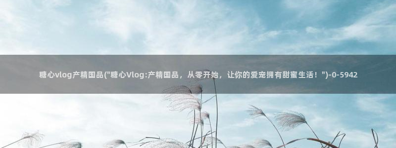 糖心vlog无限次数：糖心vlog产精国品(\